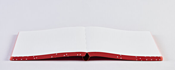Nuuna Notizbuch Graphic L Heart Core Sonderangebote