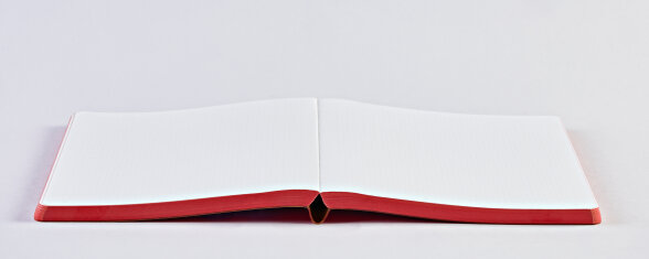 Nuuna Notizbuch Graphic L Truths & Dares Riesige Ersparnisse