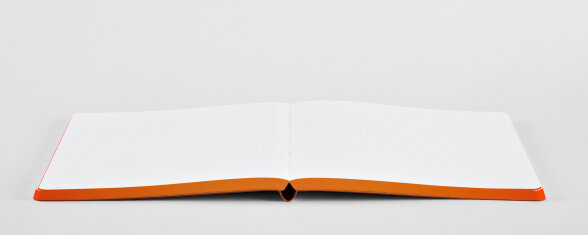 Nuuna Notizbuch Colour Clash L Light Burn Fabrikladen