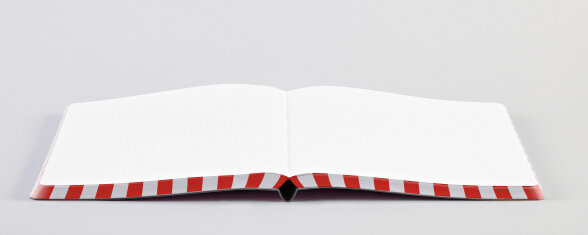 Nuuna Notizbuch Graphic L Fancy Fans Outlet