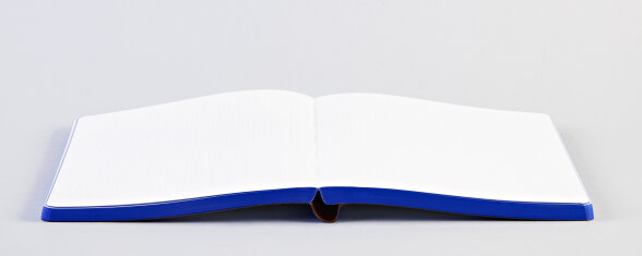 Nuuna Notizbuch Graphic L Planet Love Meist gekauft