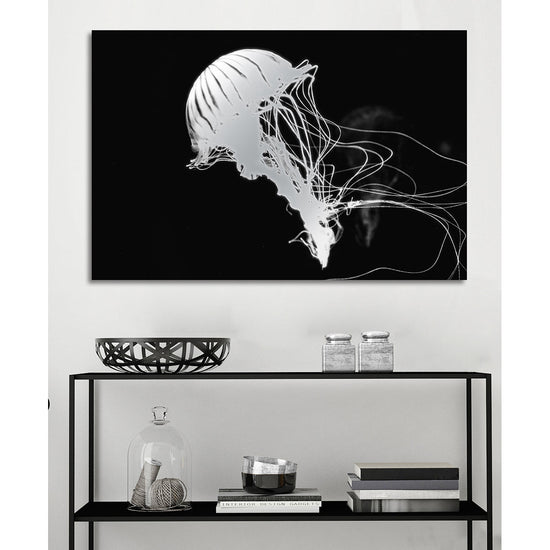 Queen Kerosin Aluminiumbild - Jelly Fish Black Jubiläumsangebot
