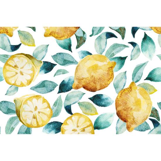 Queen Kerosin Spritzschutz - Lemon Zeitlich begrenztes Angebot