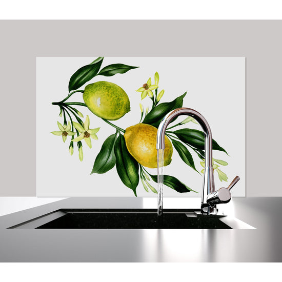 Queen Kerosin Spritzschutz - Lemontree Blitzangebot