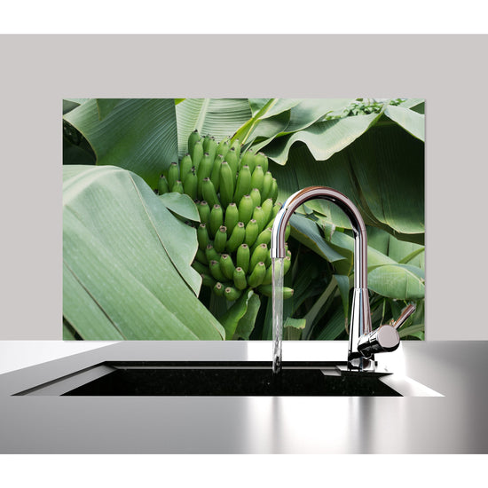 Queen Kerosin Spritzschutz - Banana Tree Neueste Stile