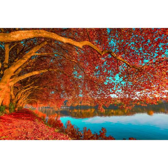 Queen Kerosin Acrylglasbild - Platanenallee am Baldeneysee I Neueste Stile