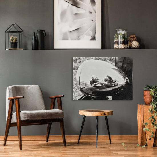 Queen Kerosin Laurenz Linke - Fotoarchiv 11 Black Friday Preise