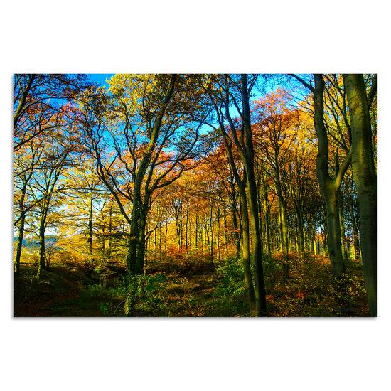 Queen Kerosin Herbstwald von Torsten Reuter Preisnachlass