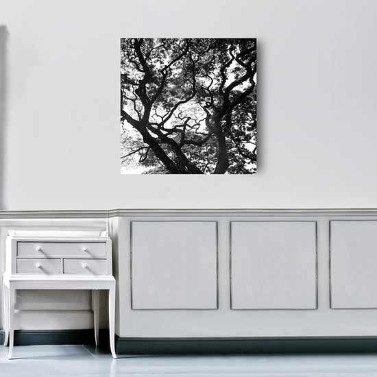 Queen Kerosin Acrylglasbild - Up Neueste Stile