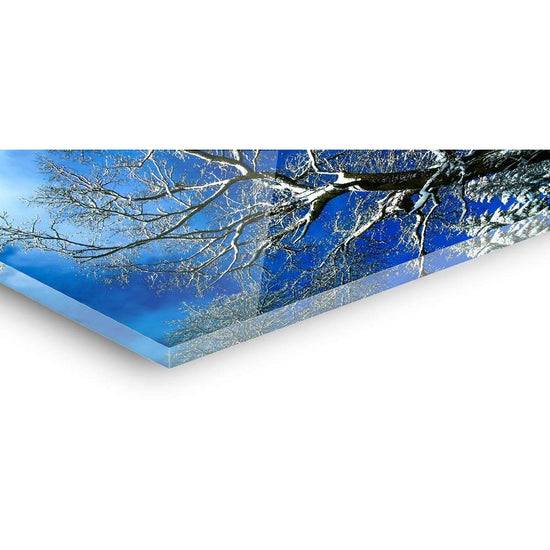 Queen Kerosin Acrylglasbild - Tanja Riesige Rabatte