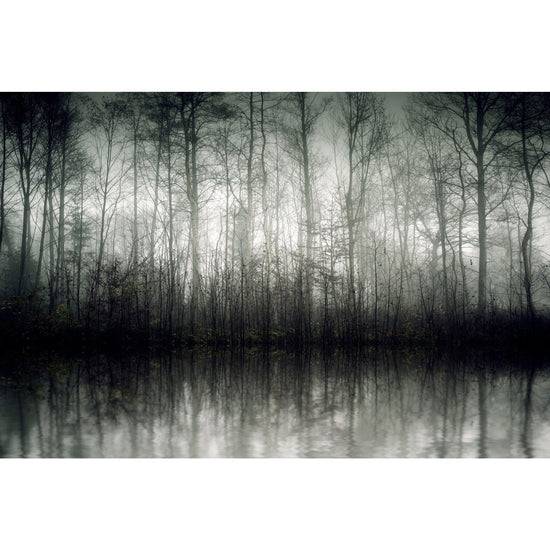 Queen Kerosin Akustikbild - Der Nebel zollfrei