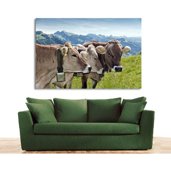 Queen Kerosin Acrylglasbild - Alpenwelt Kühe Nur noch ein Tag übrig