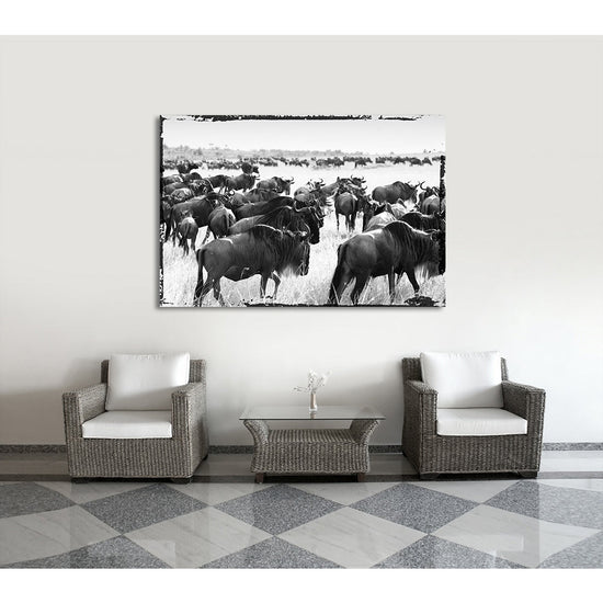 Queen Kerosin Acrylglasbild - Bisons Migrate Speichern exportieren