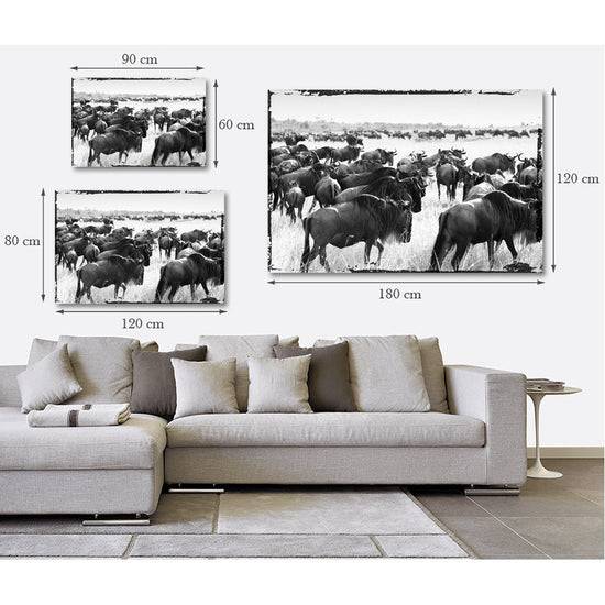 Queen Kerosin Acrylglasbild - Bisons Migrate Speichern exportieren