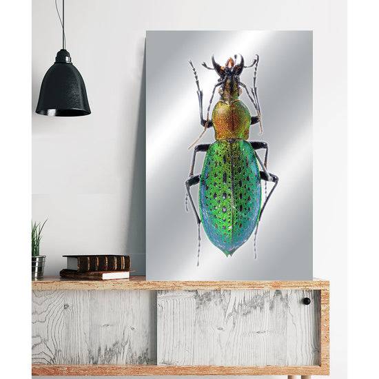 Queen Kerosin Aluminiumbild - Green Metal Bestseller