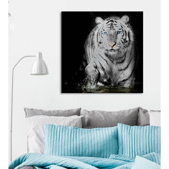 Queen Kerosin Aluminiumbild - Blue Eyed Tiger Bis zu 50% Rabatt