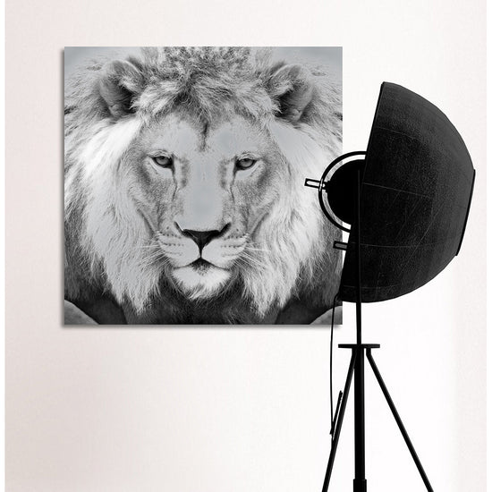 Queen Kerosin Aluminiumbild - Lions King Bis zu 65% Rabatt