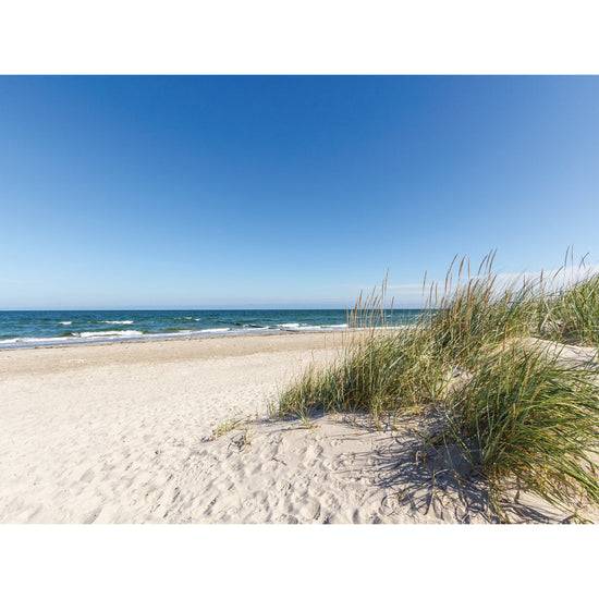 Queen Kerosin Magnetisches Markerboard - Beach JETZT KAUFEN