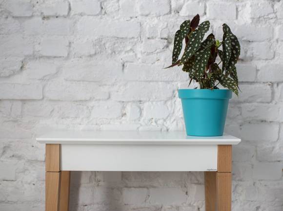 Ragaba MIMO Console Table with Shelf 65x35cm Fleeting Mint Cyber Monday