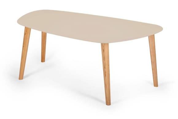 Ragaba Endocarp Coffee Table 110x66x45cm - Brown Beige / Ashwood
