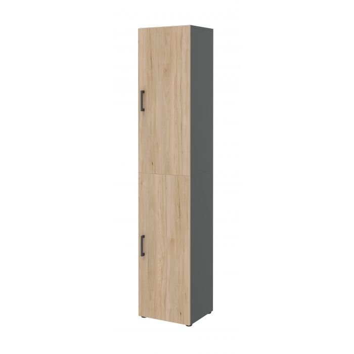 Röhr Bush Schrank in Anthrazit und Hickory Nachbildung mit 2 Türen Kostenloser Versand international