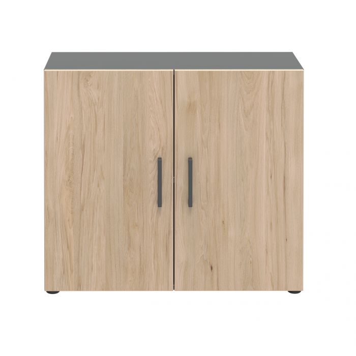 Röhr Bush Schrank in Anhtrazit und Hickory Nachbildung mit 2 Türen und 2 Ordnerhöhen 2025