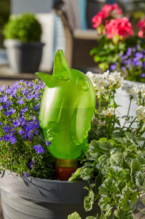 Scheurich Bördy Indoor Wasserspeicher Jubiläumsangebot