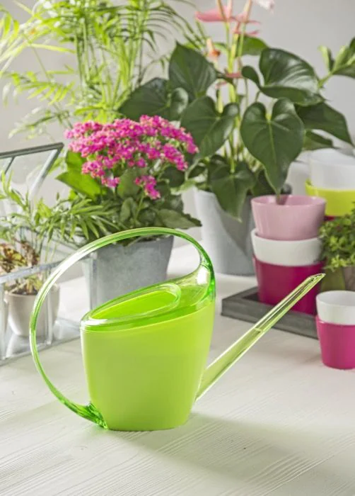 Scheurich Loop Gießkanne 133 Online Outlet