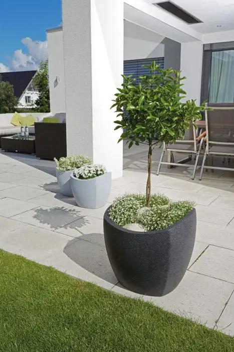 Scheurich Wave Globe Cubo Pflanzgefäß 256 - Schwarz-Granit/40 Kostenlose Rückgabe