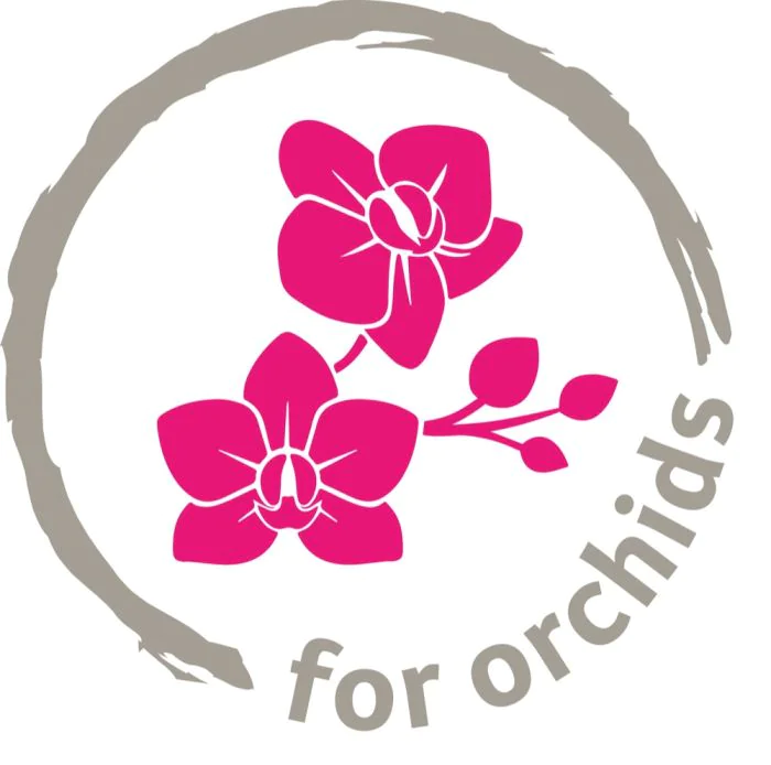 Scheurich Orchideentopf 632 50% Rabatt für begrenzte Zeit
