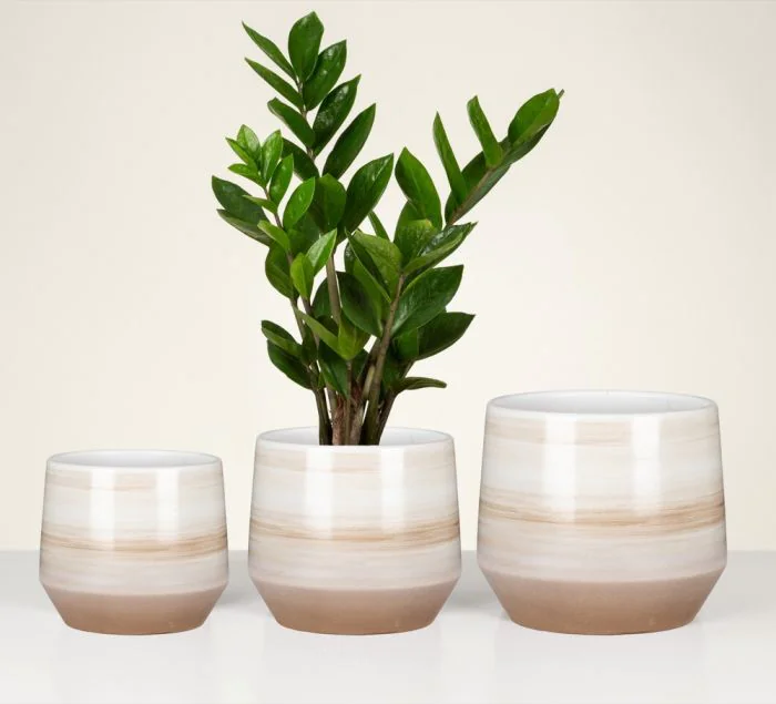 Scheurich Natural Surfaces Übertopf 786 Fabrikverkauf