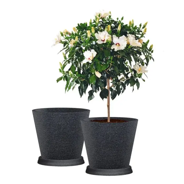 Scheurich Coneo 2er Blumentopf Set mit Untersetzern - Schwarz-Granit Online Shopping