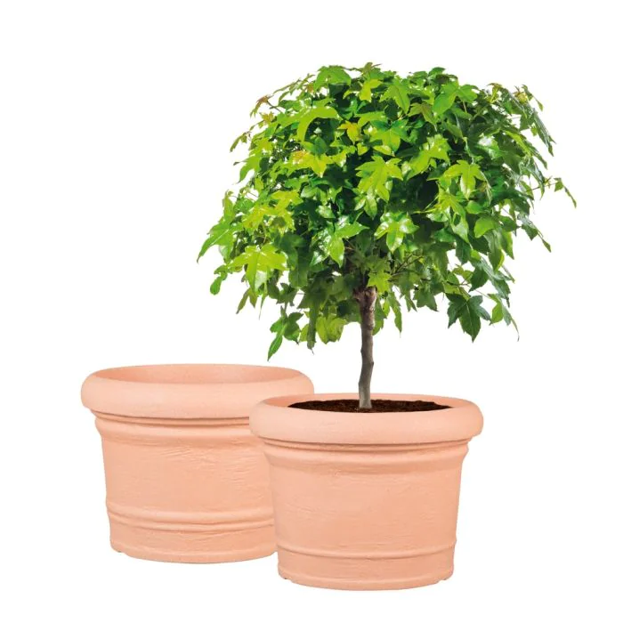 Scheurich Formia 2er Blumentöpfe Set - Terracotta Weihnachtsangebot