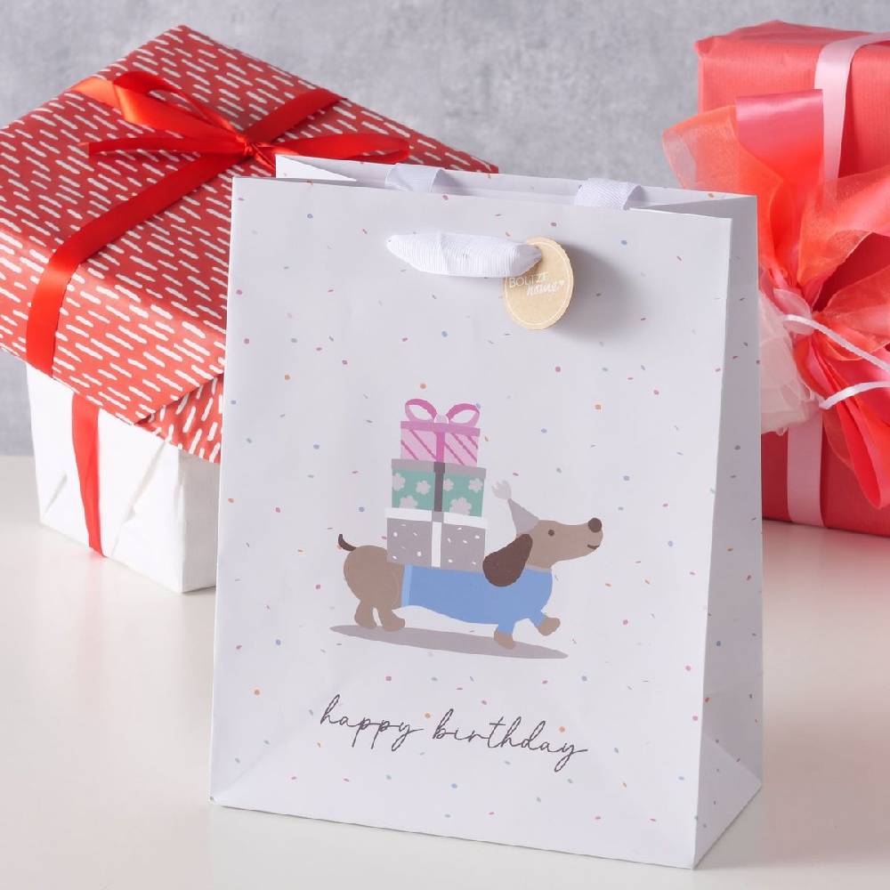 Schöner Leben Geschenktüte Happy Birthday Dackel Geschenke 20x10x25cm 50% Rabatt für begrenzte Zeit