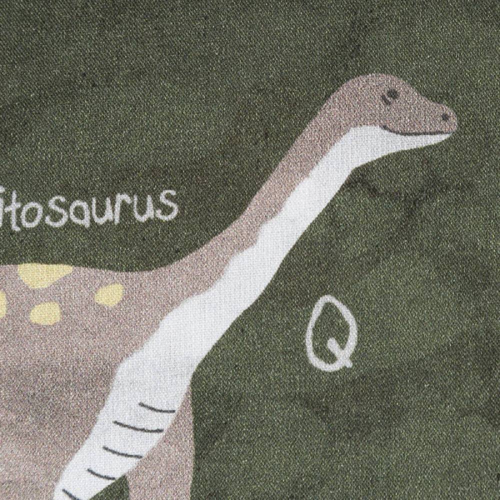 Schöner Leben Baumwollstoff Popeline Fine Poplin Digitaldruck Dinosaurier mit Namen grün bunt 1,45m Breite Exklusive Angebote